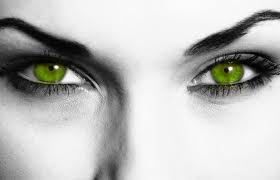 Image result for green eyed monster